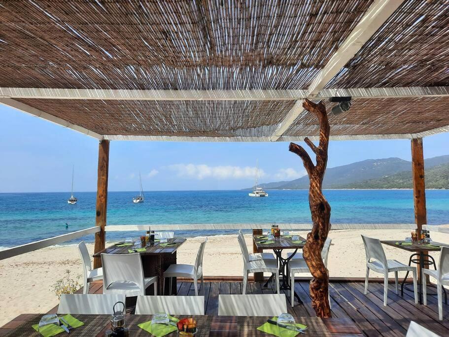 Mini Villa 69 - Piscine Chauffee Serra-di-Ferro  Ngoại thất bức ảnh